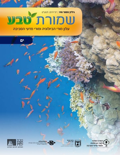 198 - הגיליון המלא (2019)