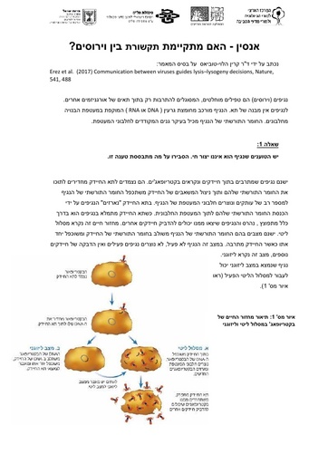 אנסין - אם יש תקשורת בין וירוסים? (2019)