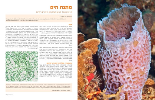 מתנת הים – תרופות נגד סרטן שמקורן ביצורים ימיים (2019)