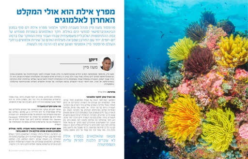 חקר אלמוגים וההתחממות הגלובלית (2019)