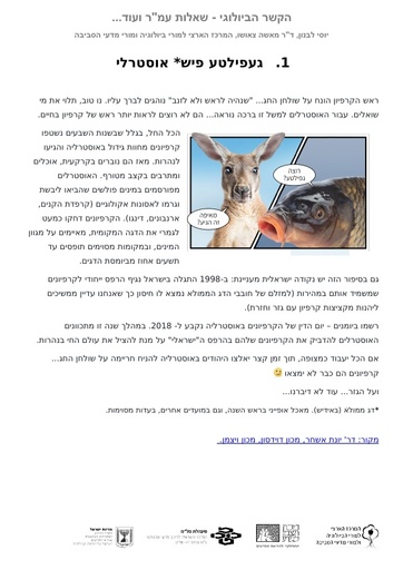 הקשר הביולוגי ושאלות עמ"ר - געפילטע פיש אוסטרלי (2018)
