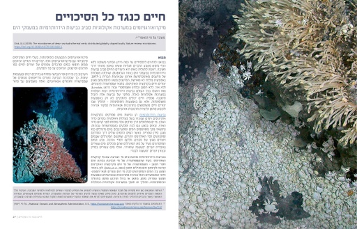 מפרץ אילת הוא אולי המקלט האחרון לאלמוגים (2019)