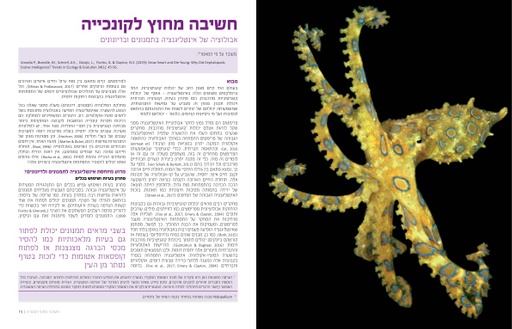 חשיבה מחוץ לקונכייה - אבולוציה של אינטליגנציה בתמנונים ובדיונונים (2019)