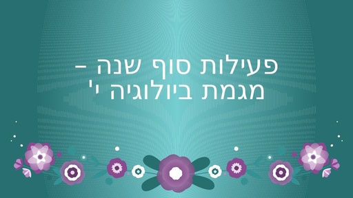 מבדק מסכם כמשחק כיתתי בקבוצות (2018)