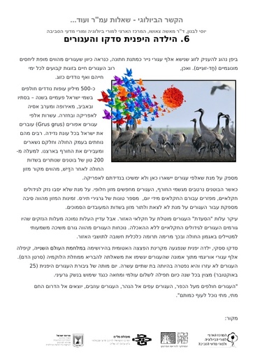 הקשר הביולוגי ושאלות עמ"ר - הילדה היפנית סדקו והעגורים (2018)